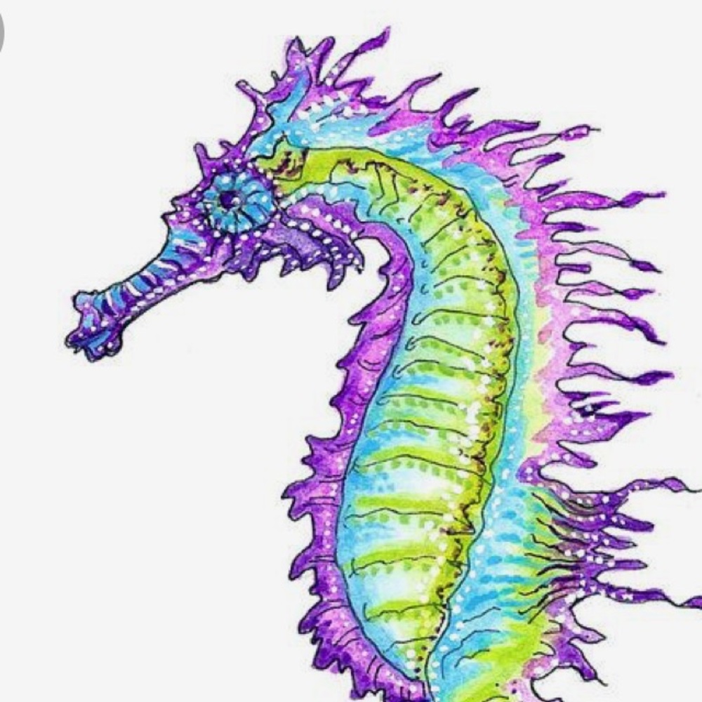 Meet your Posher, SJ